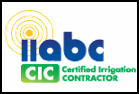 iiabc-CIC